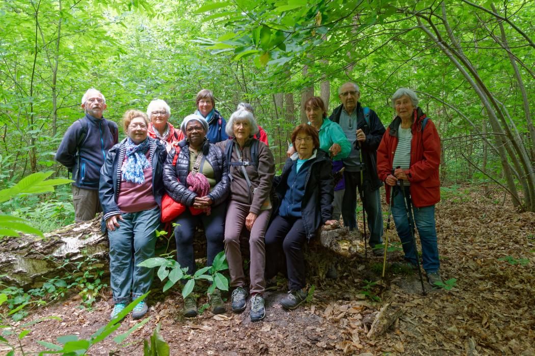 Retraite Sportive Melun Val de Seine