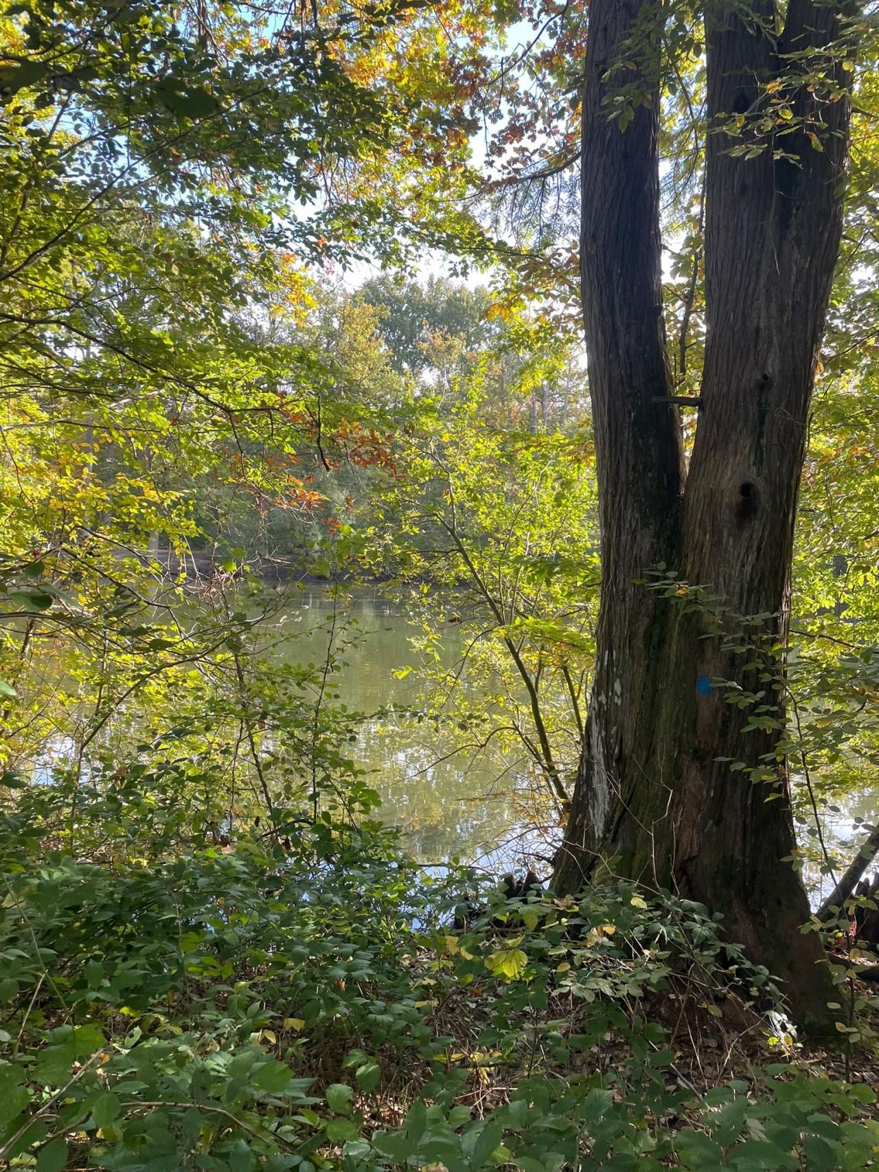 Retraite Sportive Melun Val de Seine