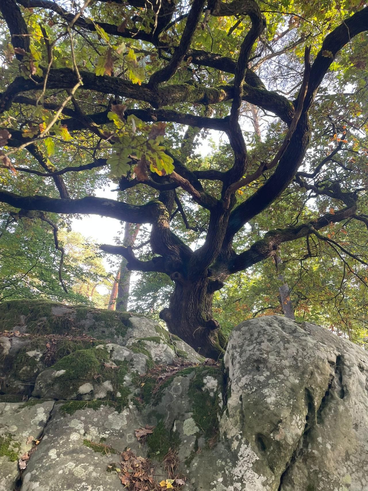Retraite Sportive Melun Val de Seine