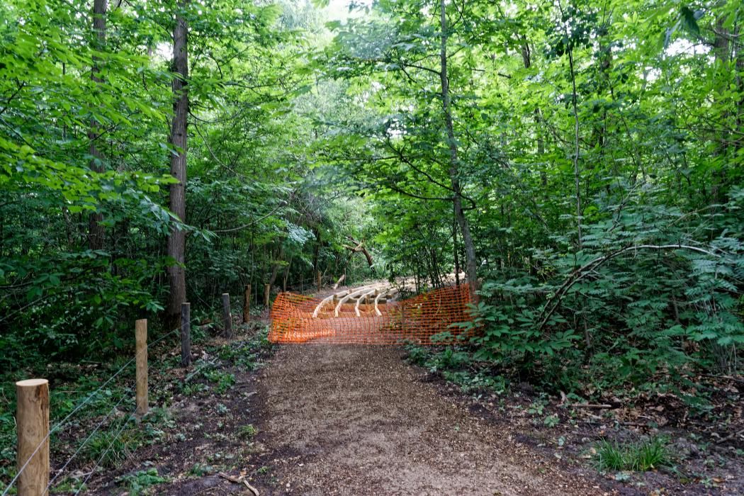 Retraite Sportive Melun Val de Seine