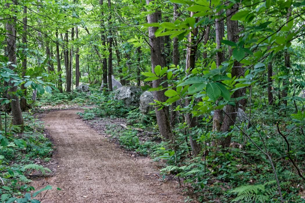 Retraite Sportive Melun Val de Seine