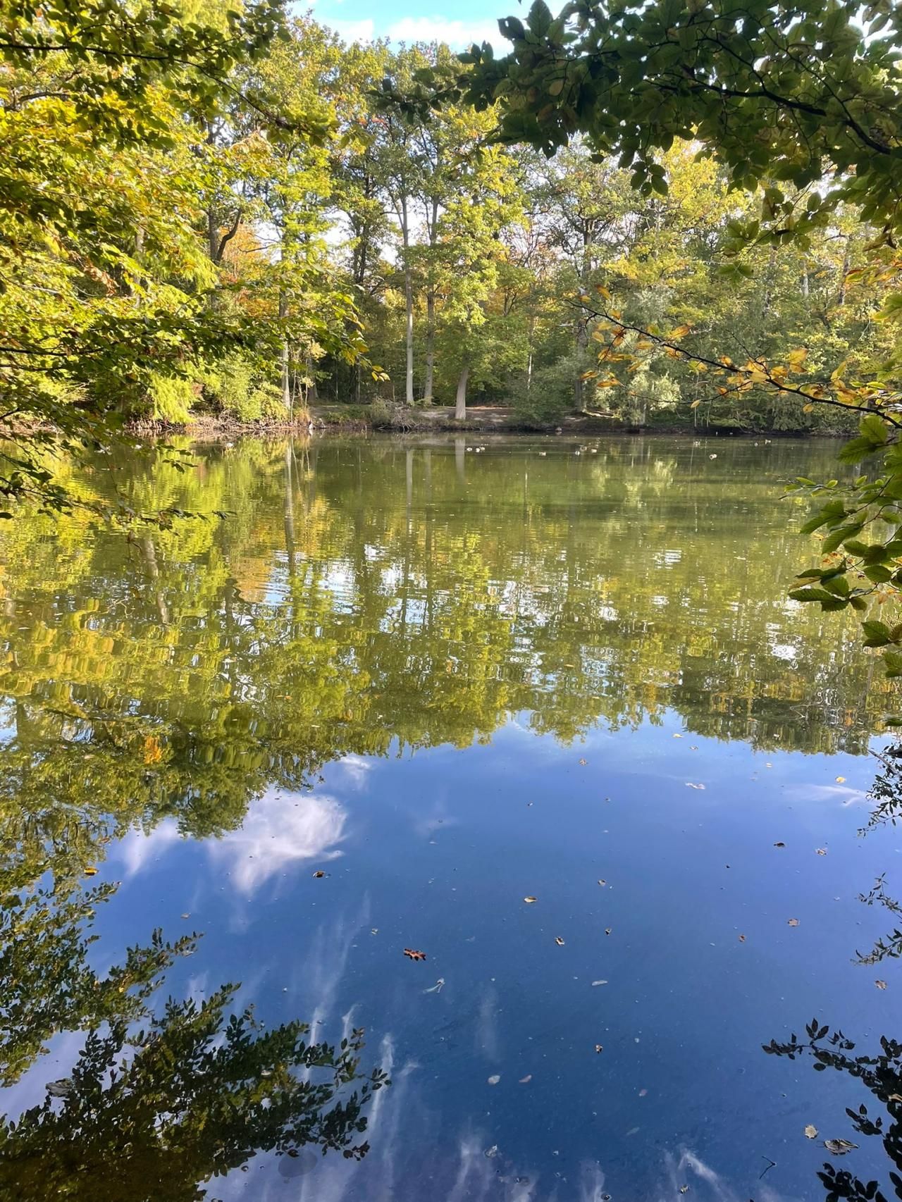 Retraite Sportive Melun Val de Seine