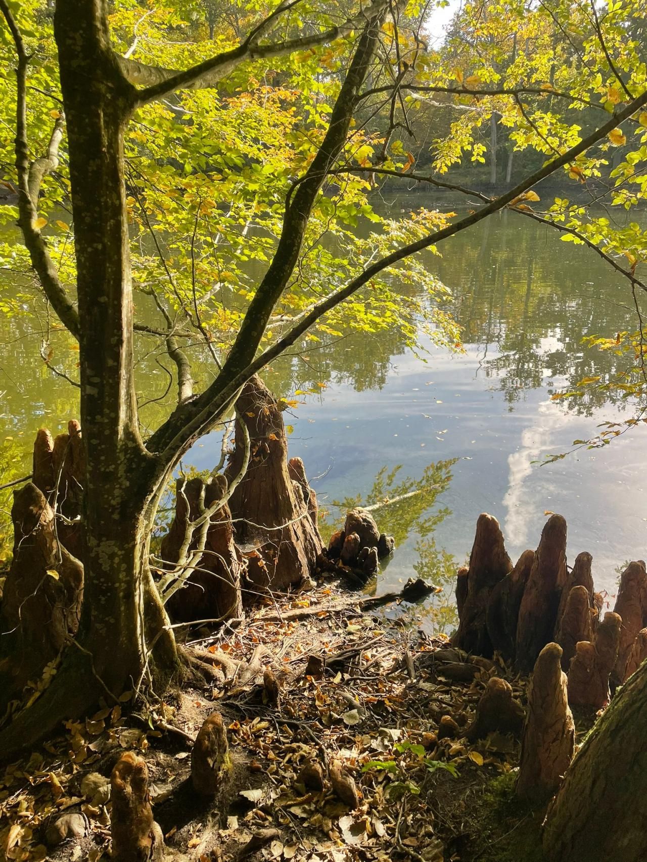 Retraite Sportive Melun Val de Seine