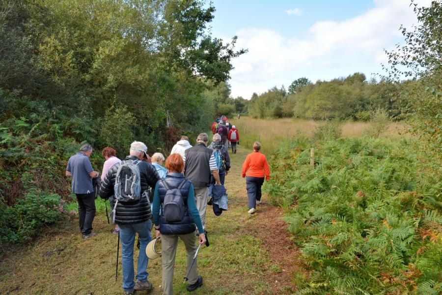 Retraite Sportive - Balade de proximité