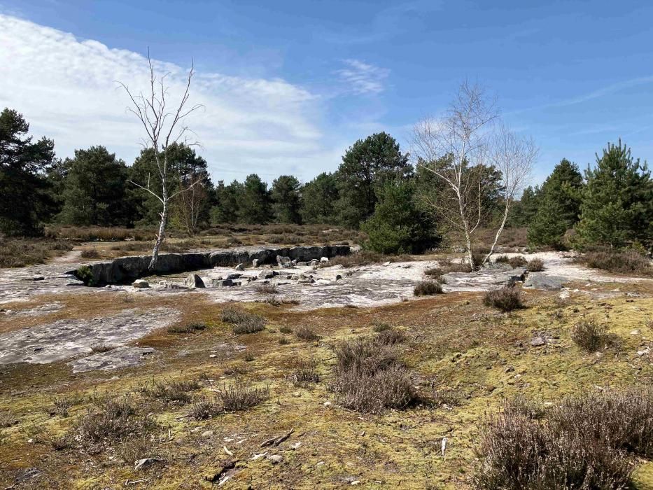 Retraite Sportive - Marche Nordique