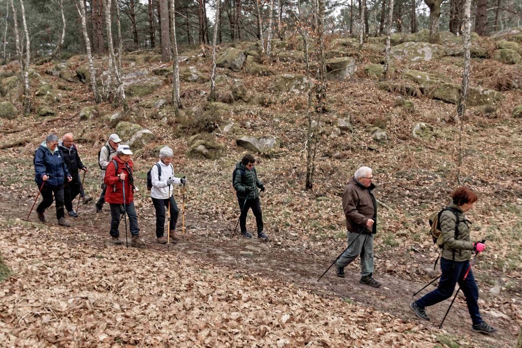 Retraite Sportive - Marche Nordique