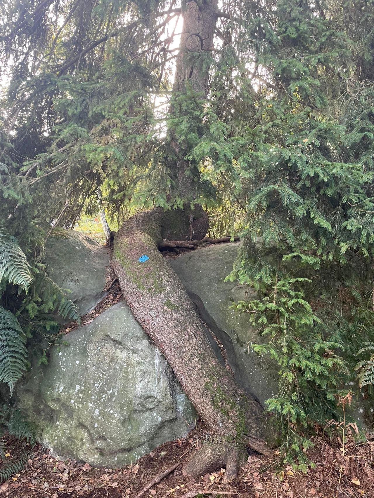 Retraite Sportive - Randonnée